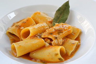 Tubes of southern Italian paccheri pasta served with a tomato sauce and pieces of scorpion fish in Monopoli, Apulia, Italy, Europe