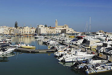 Boats in the harbour by the cathedral of St. Nicholas the Pilgrim (San Nicola Pellegrino) in Trani, Apulia, Italy, Europe