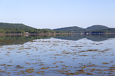 Chamcook Harbour, between the mainland and Ministers Island, Sir William Van Horne's residence, New Brunswick, Canada, North America