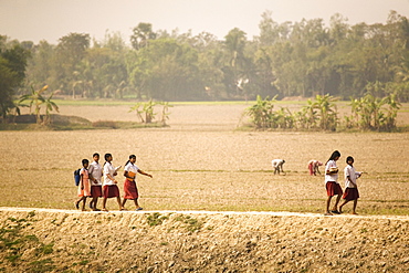 Schoolgirls walk along a dyke on the edge of the Sunderbans (Sundarbans) National Park, UNESCO World Heritage Site, West Bengal, India, Asia