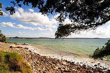 Beach, Noosa, Queensland, Australia, Pacific