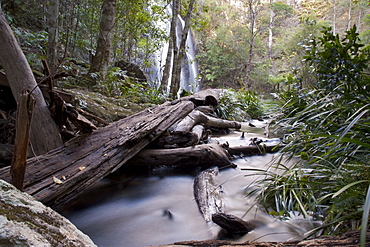 Waterfall and stream in the rainforest, New England National Park, Armidale, New South Wales, Australia, Pacific