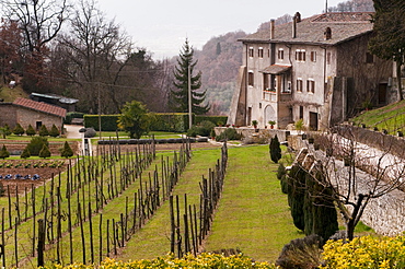 Franciscan sanctuary of La Foresta, Rieti, Lazio (Latium), Italy, Europe