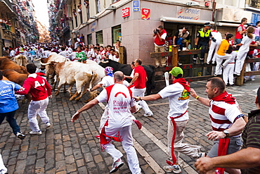 Seventh Encierro (running of the bulls), San Fermin festival, Pamplona, Navarra (Navarre), Spain, Europe