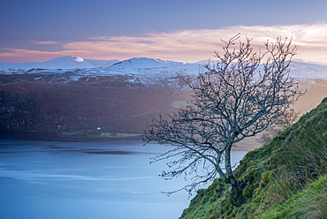 Derwentwater from Cat Bells, Lake District National Park, Cumbria, England, United Kingdom, Europe