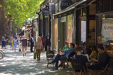 Holland Park Avenue, Holland Park, Kensington and Chelsea, London, England, United Kingdom, Europe