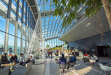 The Sky Garden at the Walkie Talkie (20 Fenchurch Street), City of London, London, England, United Kingdom, Europe