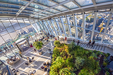 The Sky Garden at the Walkie Talkie (20 Fenchurch Street), City of London, London, England, United Kingdom, Europe