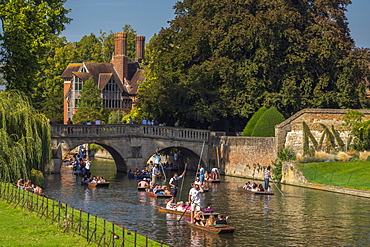 Punting on the River Cam, Clare College, Clare Bridge, Cambridge, Cambridgeshire, England, United Kingdom, Europe