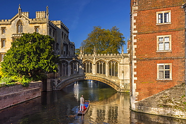 Punting on River Cam, St. John's College, Bridge of Sighs, Cambridge, Cambridgeshire, England, United Kingdom, Europe