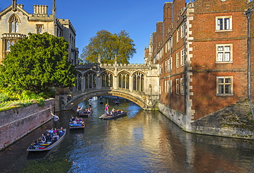 Punting on River Cam, St. John's College, Bridge of Sighs, Cambridge, Cambridgeshire, England, United Kingdom, Europe