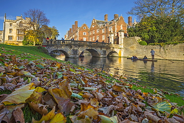 River Cam, St. John's College, Cambridge, Cambridgeshire, England, United Kingdom, Europe