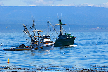 Monterey, California, United States of America, North America