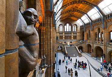 Central Hall, Natural History Museum, South Kensington, London, England, United Kingdom, Europe