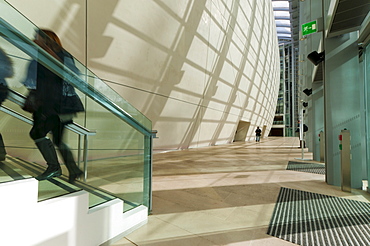 The Cocoon, Natural History Museum, South Kensington, London, England, United Kingdom, Europe