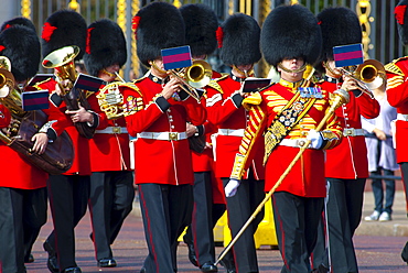 Changing of the Guard, Buckingham Palace, London, England, United Kingdom, Europe