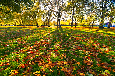 Hyde Park in autumn, London, England, United Kingdom, Europe