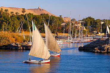 River Nile, Aswan, Upper Egypt, Egypt, North Africa, Africa