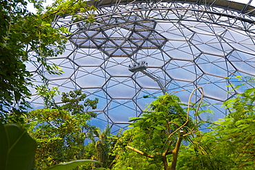 Eden Project near St. Austell, Cornwall, England, United Kingdom, Europe