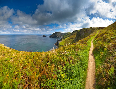 Tintagel, Cornwall, England, United Kingdom, Europe