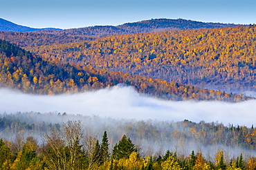 Autumnal foliage, New Hampshire, New England, United States of America, North America