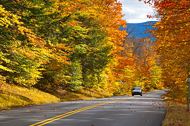 Bear Notch Road, White Mountains National Forest, New Hampshire, New England, United States of America, North America