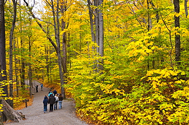 Franconia Notch State Park, New Hampshire, New England, United States of America, North America