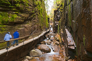 Franconia Notch State Park, New Hampshire, New England, United States of America, North America