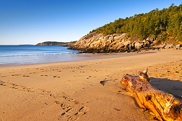 Sandy Beach, Acadia National Park, Mount Desert Island, Maine, New England, United States of America, North America