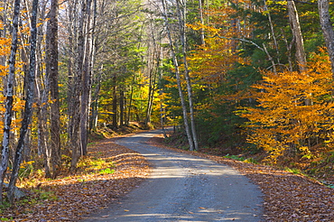 Grafton, Vermont, New England, United States of America, North America