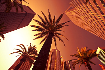 Downtown, Los Angeles, California, United States of America, North America