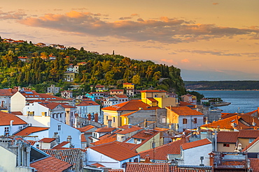 Old Town rooftops, Piran, Primorska, Slovenian Istria, Slovenia, Europe