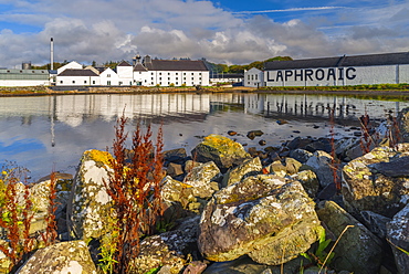 Laphroaig Whisky Distillery, Loch Laphroaig, Islay, Argyll and Bute, Scotland, United Kingdom, Europe