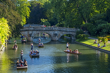 Punting on The Backs, River Cam, Cambridge, Cambridgeshire, England, United Kingdom, Europe