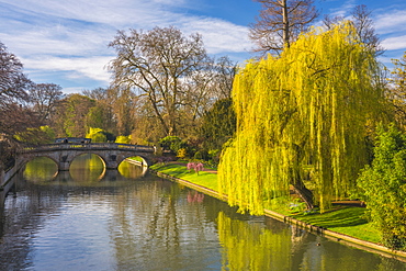 The Backs, River Cam, Cambridge, Cambridgeshire, England, United Kingdom, Europe