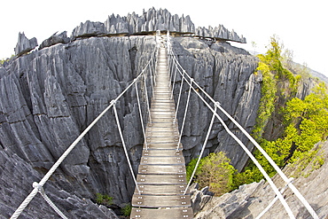 View of suspension bride spanning the Grand Tsingy landscape of limestone karst in the Tsingy de Bemaraha National Park, UNESCO World Heritage Site, western Madagascar, Madagascar, Africa