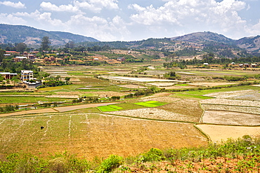 Rice paddies and surrounding landscape on the outskirts of the town of Ambositra in south-central Madagascar, Madagascar, Africa