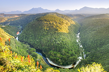 The Map of Africa land formation in the Kaaimans River near Wilderness along the Garden Route in Western Cape Province, South Africa, Africa