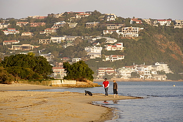 Couple walking their dog along the beach of Leisure Isle in Knysna Lagoon on the Garden Route, Western Cape, South Africa, Africa