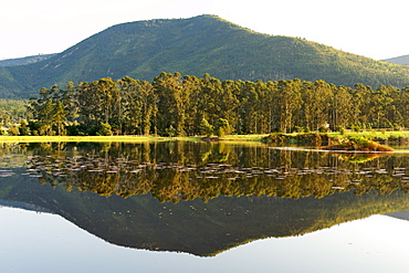 View across the lake of the Kurland polo estate and hotel in Plettenberg Bay on the Garden Route, Western Cape, South Africa, Africa