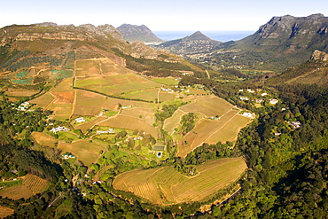 Aerial view of Constantia vineyards, Cape Town, South Africa, Africa