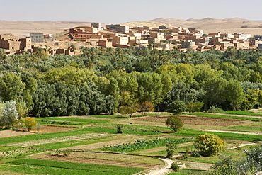 Villages and plantations at the beginning of the Todra Gorge in the vicinity of Tinehir in the High Atlas mountains of Morocco