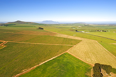 Aerial view over the agricultural fields of the Fisantekraal and Philadelphia area north of Cape Town, South Africa, Africa