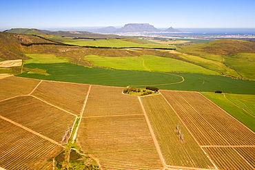 Aerial view over agricultural fields in the Contermanskloof and Fisantekraal areas north of Cape Town in South Africa, Africa