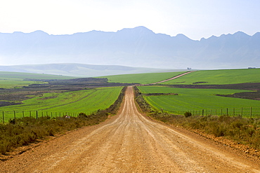 Dirt road leading to Nethercourt from the N2 highway near Caledon in Western Cape Province, South Africa, Africa