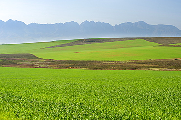 View of agricultural fields and the Langeberg mountain range from the N2 highway in Western Cape Province, South Africa, Africa