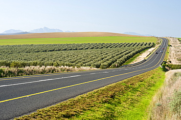 The N2 highway near Swellendam in Western Cape Province, South Africa, Africa