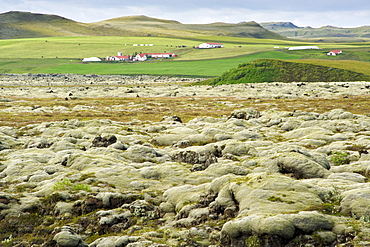 Fields of solidified volcanic lava in the area surrounding Vatnajokull glacier in the southeast, Iceland, Polar Regions