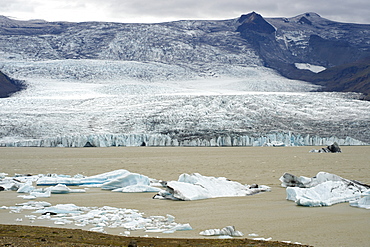 Fjallsarlon Lake and the Fjallsjokull glacier which forms part of the Vatnajokull glacier, in the southeast, Iceland, Polar Regions