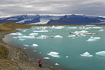 Tourists watching icebergs floating in Jokullsarlon lake at the foot of the Vatnajokull glacier, in the southeast, Iceland, Polar Regions